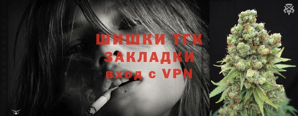 прущие грибы Беломорск