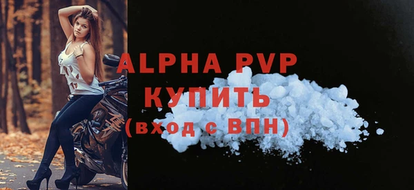 прущие грибы Беломорск