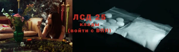 прущие грибы Беломорск