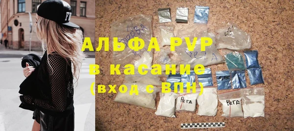 прущие грибы Беломорск
