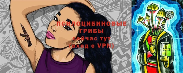 прущие грибы Беломорск