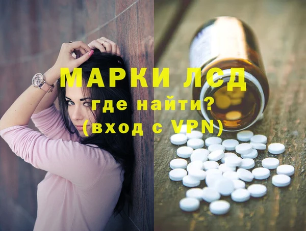 прущие грибы Беломорск