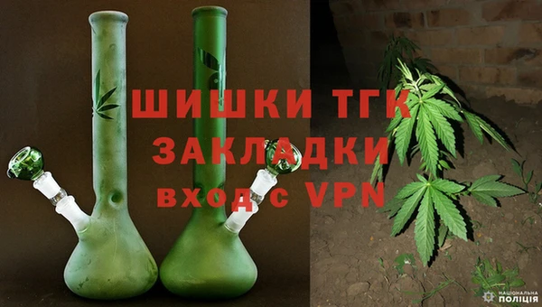 прущие грибы Беломорск