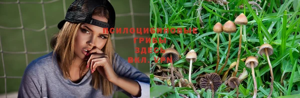 ALPHA-PVP Богородицк
