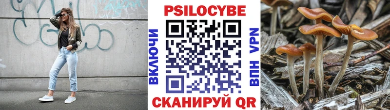 маркетплейс телеграм  купить наркоту  Гай  Галлюциногенные грибы Cubensis  omg ТОР 
