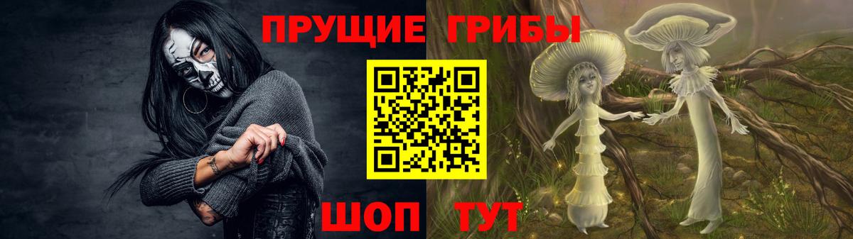 Гай  Галлюциногенные грибы Cubensis  Галлюциногенные грибы GOLDEN TEACHER  Вход с VPN 